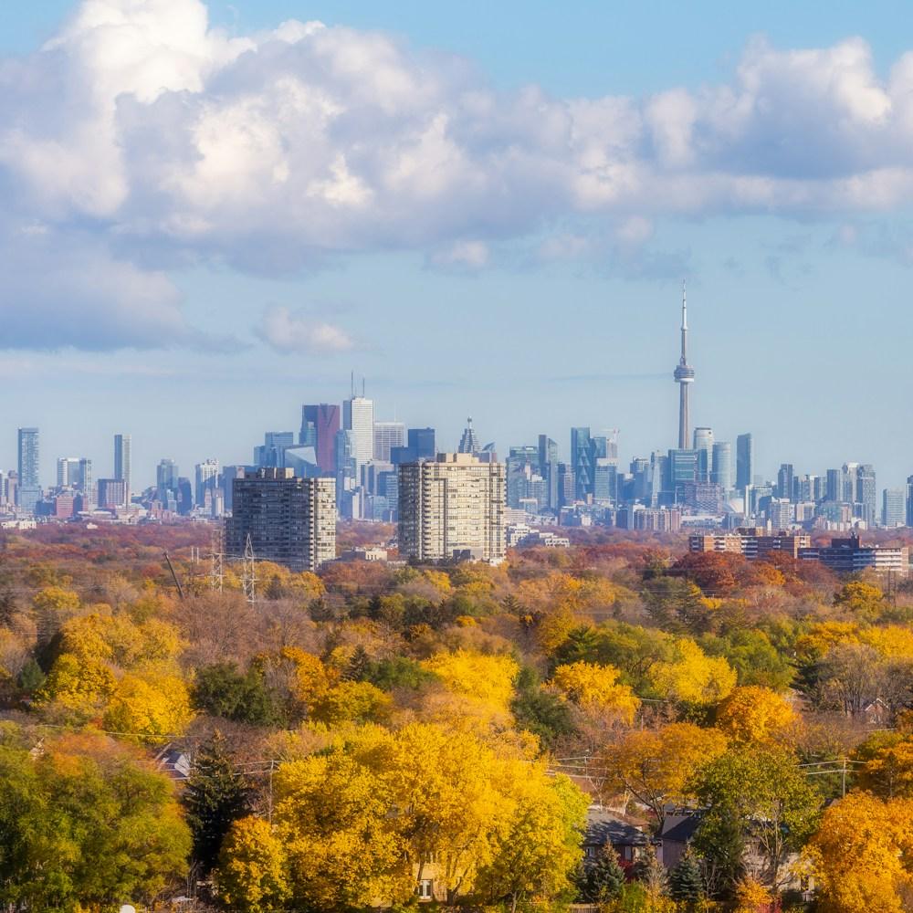 Toronto homes under autumn colour with the downtown skyline beyond